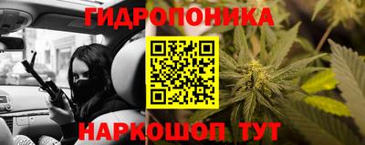 МДПВ Партизанск